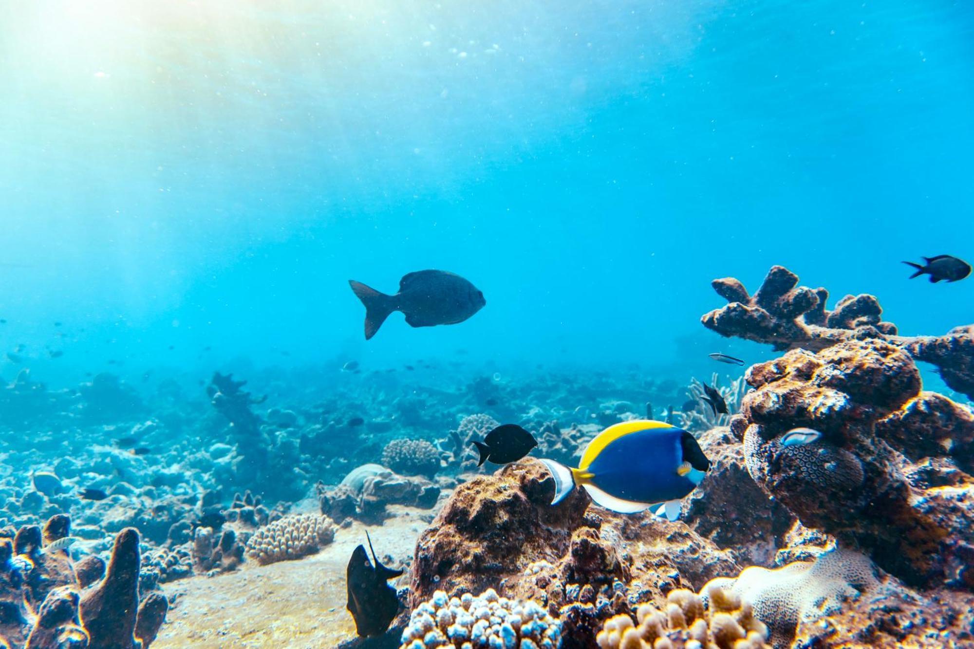 Crystal Sea Inn Bileffahi Εξωτερικό φωτογραφία